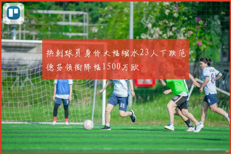热刺球员身价大幅缩水23人下跌范德芬领衔降幅1500万欧