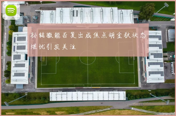 孙铭徽能否复出成焦点胡金秋状态堪忧引发关注